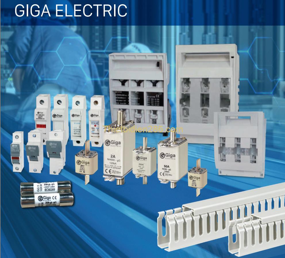 Giga Electric