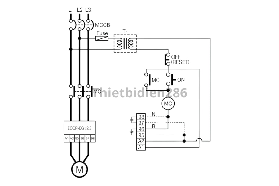 Sơ đồ nối dây rơ le điện tử EOCRDS1 Schneider