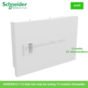 Tủ điện âm tường A9HESN12 Schneider