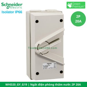 ngat-dien-phong-tham-nuoc-2p-20a-schneider-whd20-gy-g19