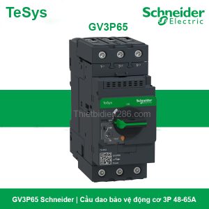 Khởi động từ GV3P65 Schneider