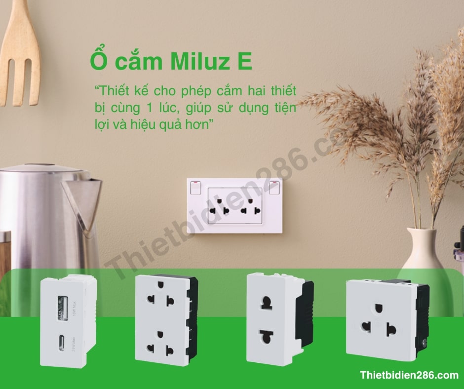 o-cam-miluz-e