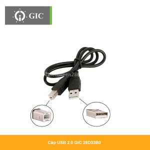 cap-usb-2.0-gic-28D33B0